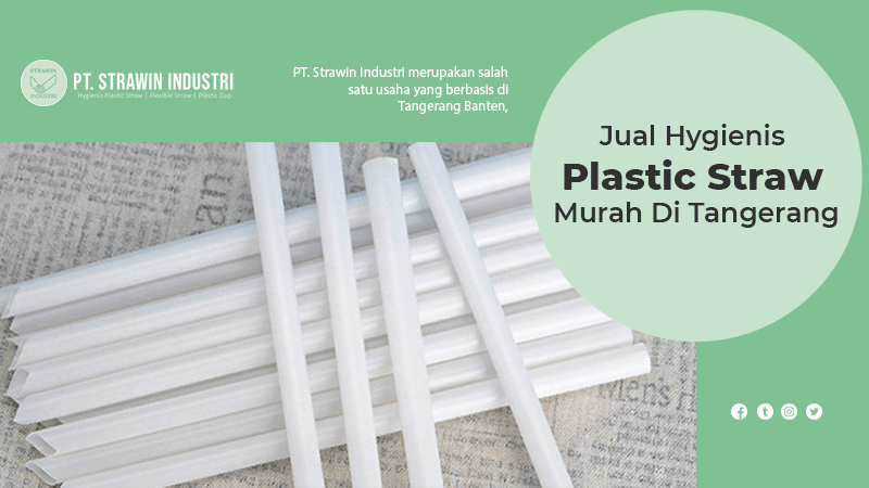 artikel-pt-strawin-industri-1